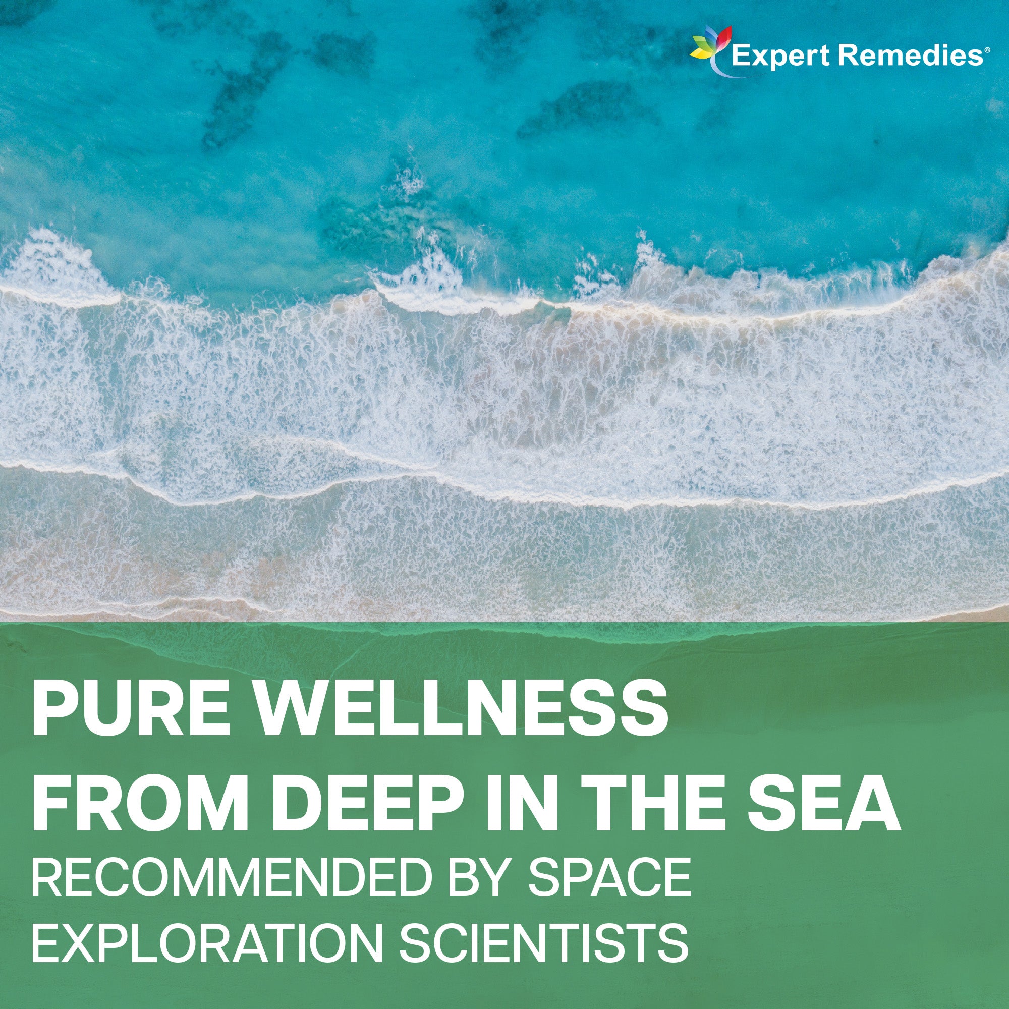Marine Bone Discovery